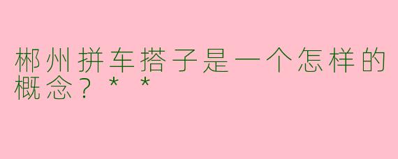 郴州拼车搭子是一个怎样的概念？**