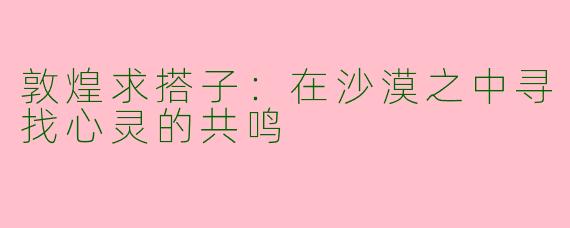 敦煌求搭子：在沙漠之中寻找心灵的共鸣
