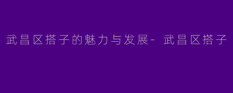 武昌区搭子的魅力与发展-武昌区搭子