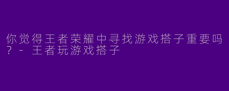 你觉得王者荣耀中寻找游戏搭子重要吗？