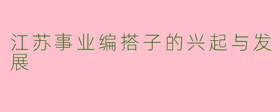 江苏事业编搭子的兴起与发展