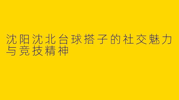 沈阳沈北台球搭子的社交魅力与竞技精神