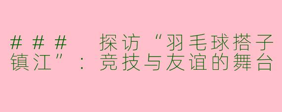 ### 探访“羽毛球搭子镇江”：竞技与友谊的舞台