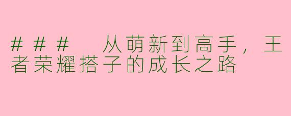 ### 从萌新到高手，王者荣耀搭子的成长之路