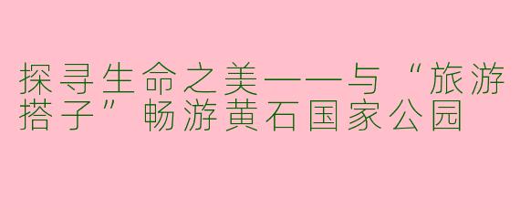 探寻生命之美——与“旅游搭子”畅游黄石国家公园
