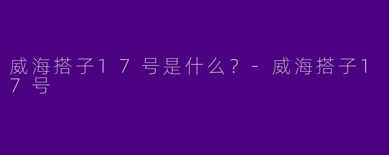 威海搭子17号是什么？