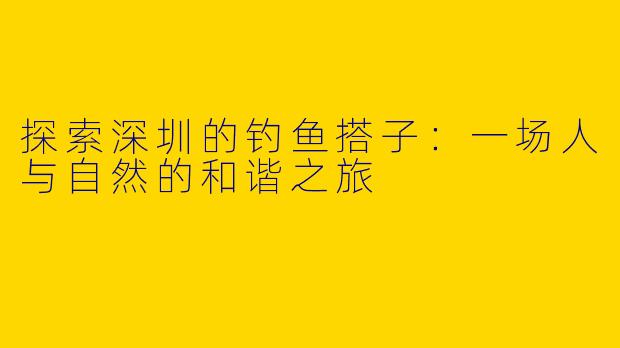 探索深圳的钓鱼搭子：一场人与自然的和谐之旅