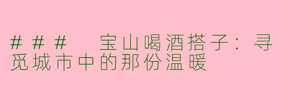 ### 宝山喝酒搭子：寻觅城市中的那份温暖