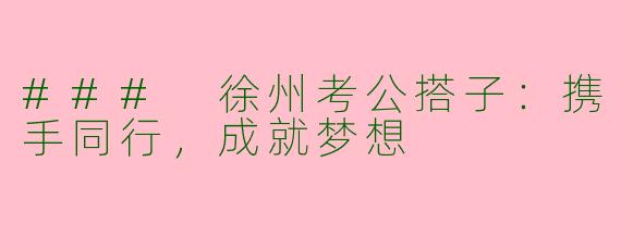 ### 徐州考公搭子：携手同行，成就梦想
