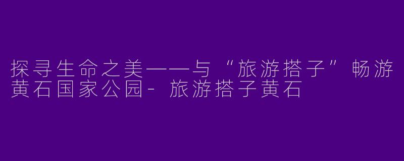 探寻生命之美——与“旅游搭子”畅游黄石国家公园-旅游搭子黄石