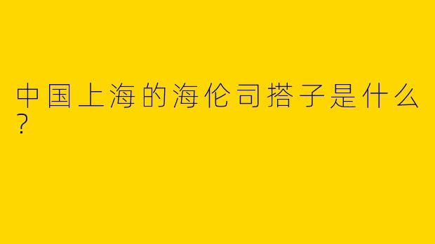 中国上海的海伦司搭子是什么？  