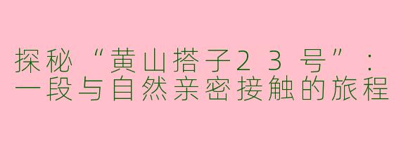 探秘“黄山搭子23号”：一段与自然亲密接触的旅程