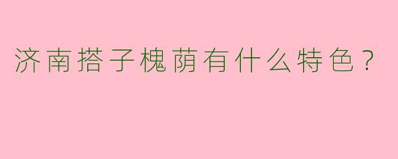 济南搭子槐荫有什么特色？