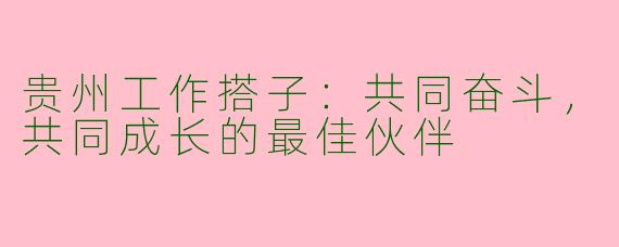 贵州工作搭子：共同奋斗，共同成长的最佳伙伴