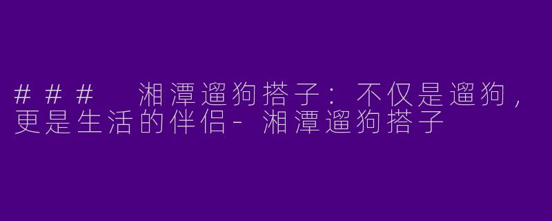 ### 湘潭遛狗搭子：不仅是遛狗，更是生活的伴侣-湘潭遛狗搭子