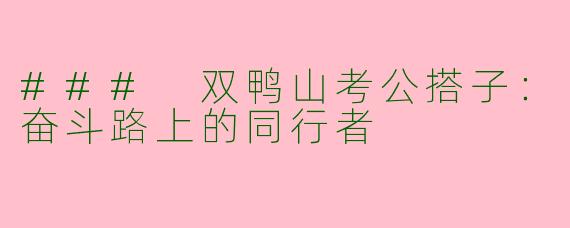 ### 双鸭山考公搭子：奋斗路上的同行者