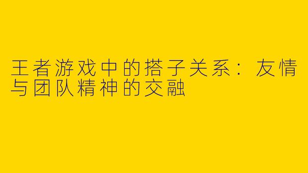 王者游戏中的搭子关系：友情与团队精神的交融