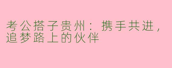考公搭子贵州：携手共进，追梦路上的伙伴