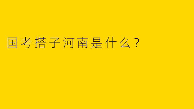 国考搭子河南是什么?