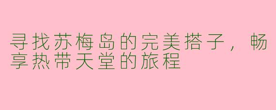 寻找苏梅岛的完美搭子，畅享热带天堂的旅程