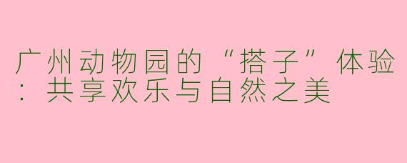 广州动物园的“搭子”体验：共享欢乐与自然之美