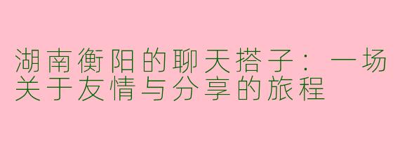 湖南衡阳的聊天搭子：一场关于友情与分享的旅程