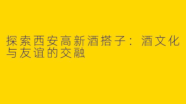 探索西安高新酒搭子：酒文化与友谊的交融