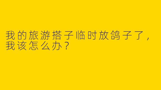 我的旅游搭子临时放鸽子了，我该怎么办？