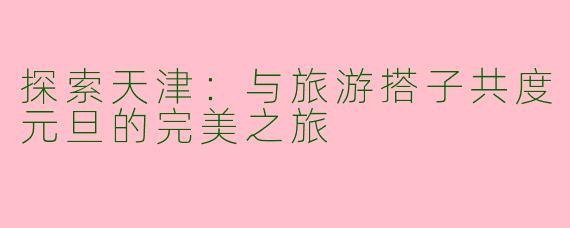 探索天津：与旅游搭子共度元旦的完美之旅