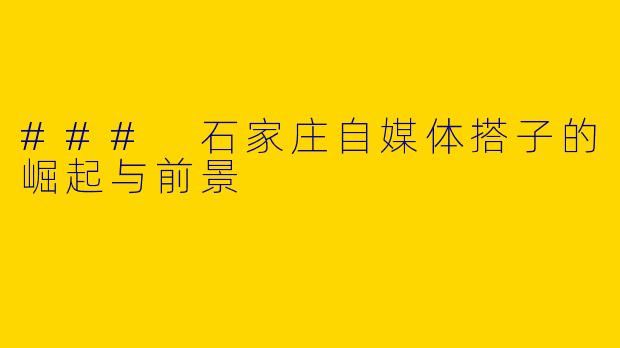 ### 石家庄自媒体搭子的崛起与前景