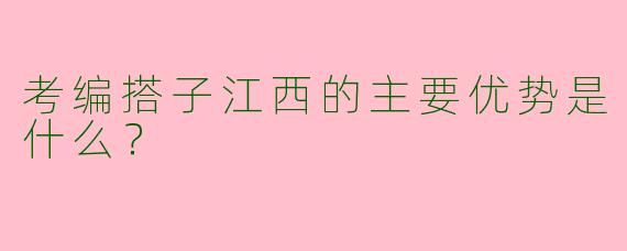 考编搭子江西的主要优势是什么?