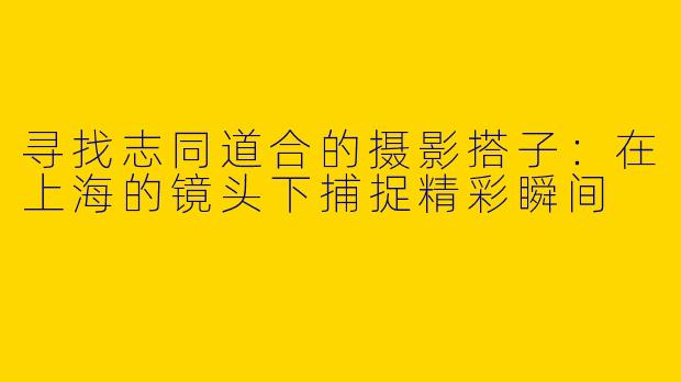 寻找志同道合的摄影搭子：在上海的镜头下捕捉精彩瞬间