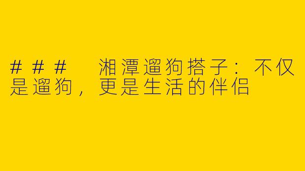 ### 湘潭遛狗搭子：不仅是遛狗，更是生活的伴侣