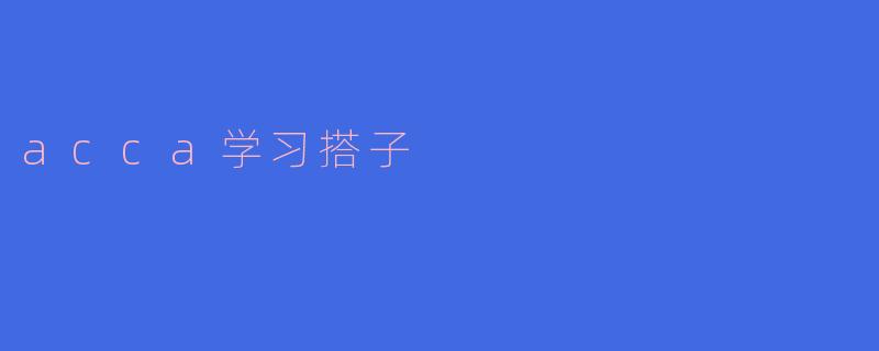 acca学习搭子