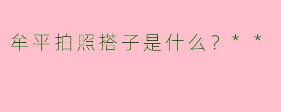 牟平拍照搭子是什么?**