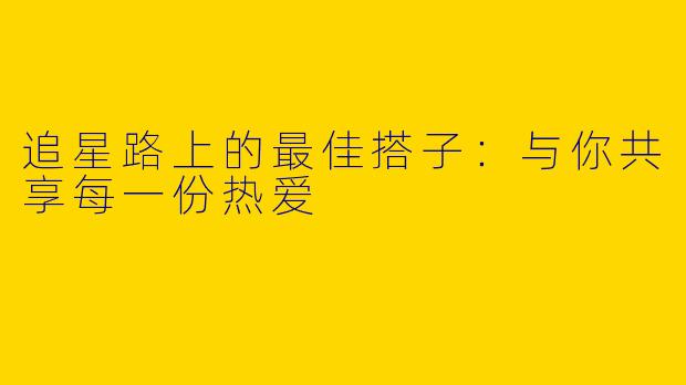 追星路上的最佳搭子：与你共享每一份热爱