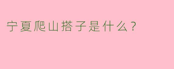 宁夏爬山搭子是什么?