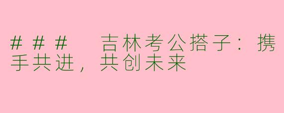 ### 吉林考公搭子：携手共进，共创未来