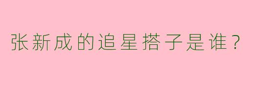张新成的追星搭子是谁？  