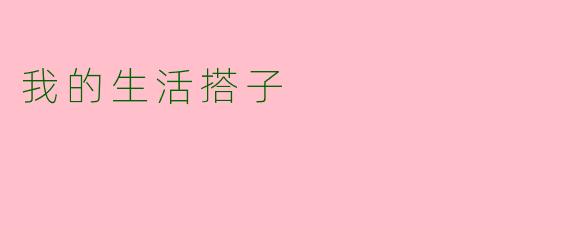 我的生活搭子