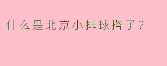 什么是北京小排球搭子？  