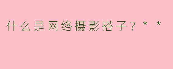 什么是网络摄影搭子？**