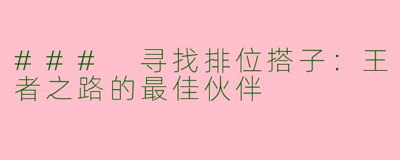 ### 寻找排位搭子：王者之路的最佳伙伴