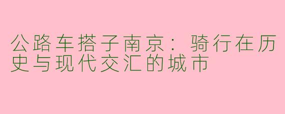 公路车搭子南京：骑行在历史与现代交汇的城市