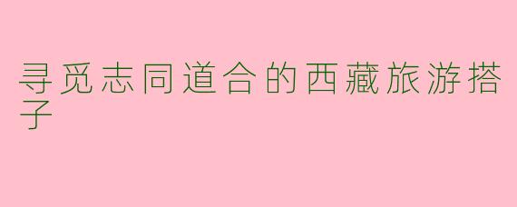 寻觅志同道合的西藏旅游搭子