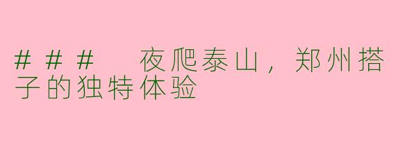 ### 夜爬泰山,郑州搭子的独特体验