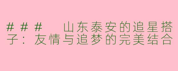 ### 山东泰安的追星搭子：友情与追梦的完美结合