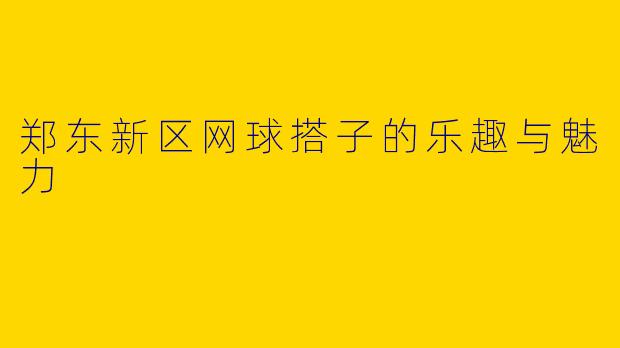郑东新区网球搭子的乐趣与魅力