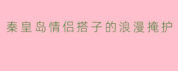 秦皇岛情侣搭子的浪漫掩护
