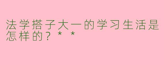 法学搭子大一的学习生活是怎样的？**